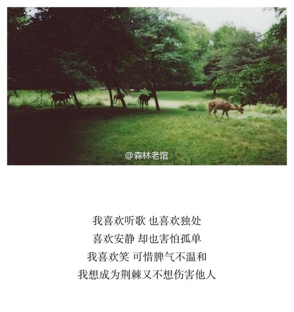 唯美图片，文字图片,情侣图片qqqqp