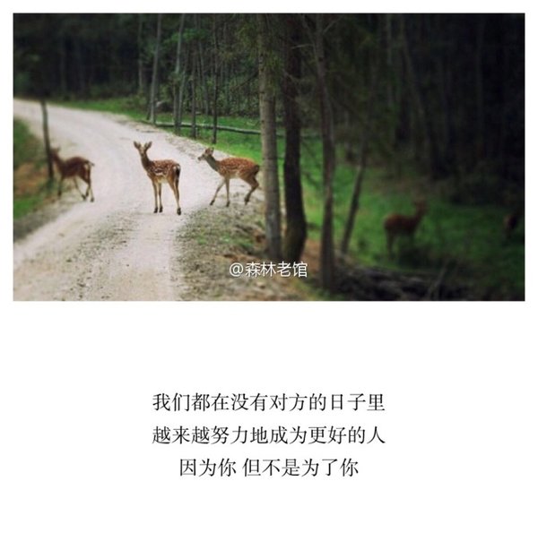 唯美图片，文字图片,情侣图片qqqqp