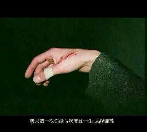 唯美图片，文字图片,情侣图片qqqqp