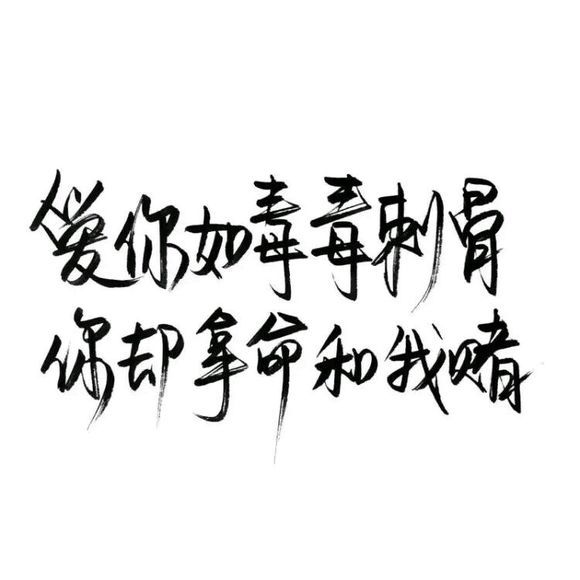 唯美图片，文字图片,情侣图片qqqqp
