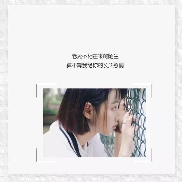 后来我们都走在各自的路上，谁也没有再等过谁