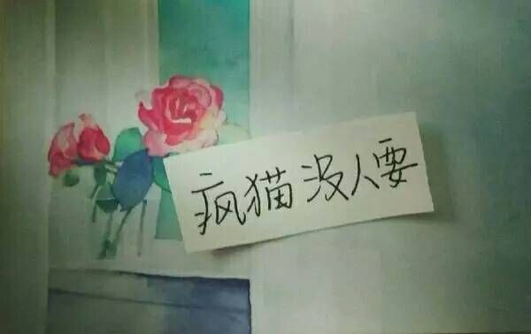 人们顺着爱这个字 干尽了人间所有丑事
