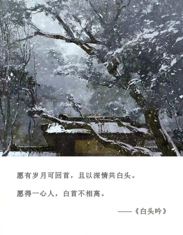 唯美图片，文字图片,情侣图片qqqqp