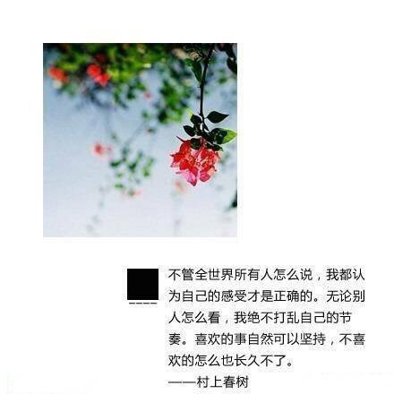 你留下的唇印，我迟迟不舍擦去