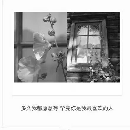 唯美图片，文字图片,情侣图片qqqqp
