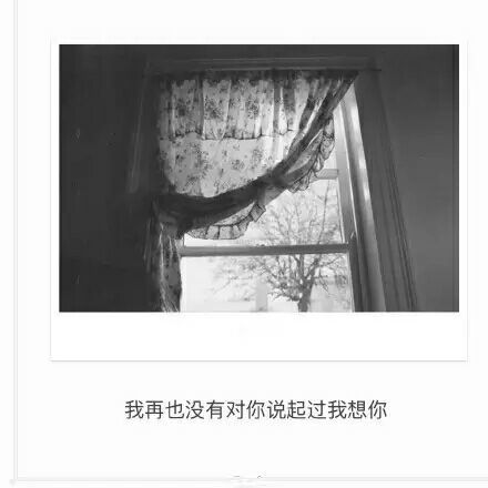 唯美图片，文字图片,情侣图片qqqqp