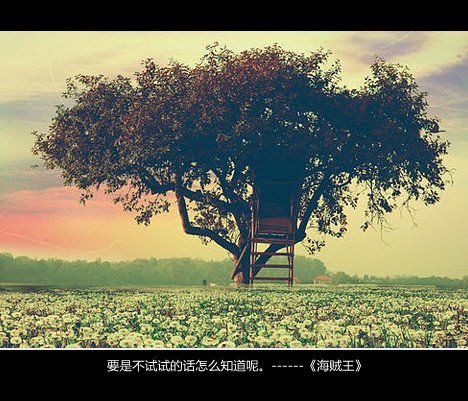 唯美图片，文字图片，动漫图片，情侣图片,qqqqp.com