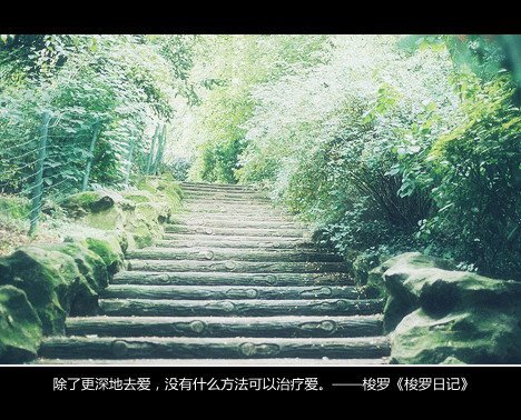 唯美图片，文字图片，动漫图片，情侣图片,qqqqp.com