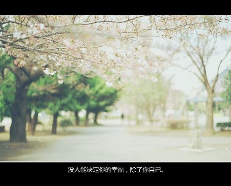 唯美图片，文字图片，动漫图片，情侣图片,qqqqp.com