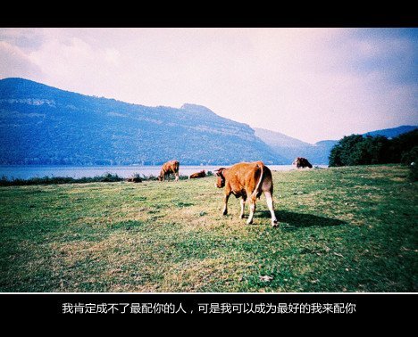 唯美图片，文字图片，动漫图片，情侣图片,qqqqp.com