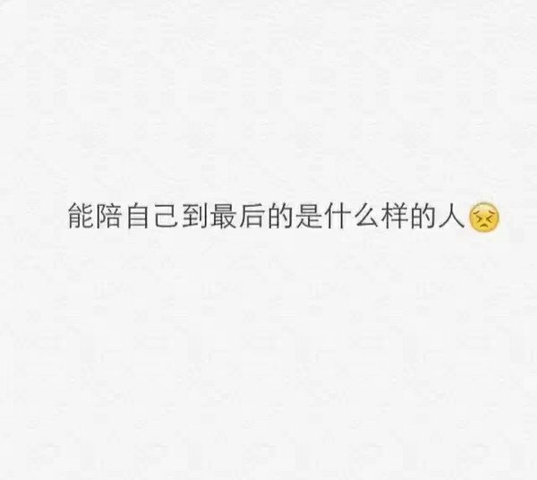 陪我到最后的是什么人
