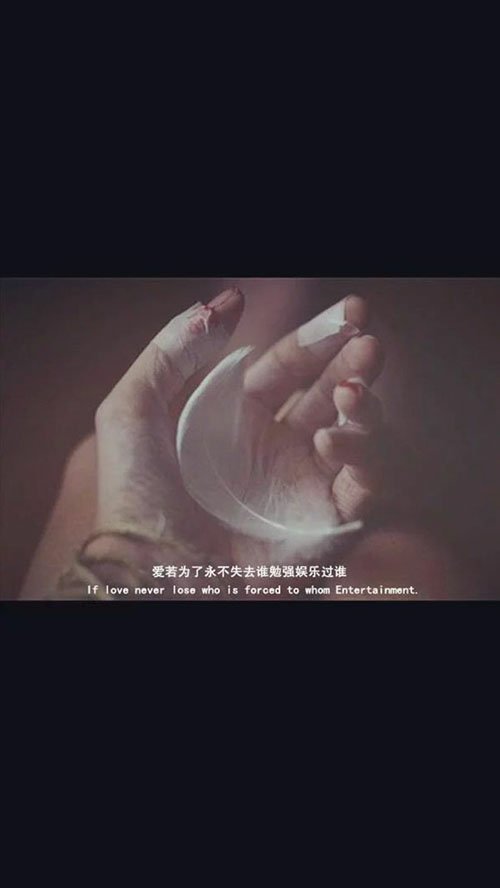 唯美图片，文字图片,情侣图片qqqqp