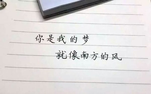 萱儿：你是我的梦就像南方的风