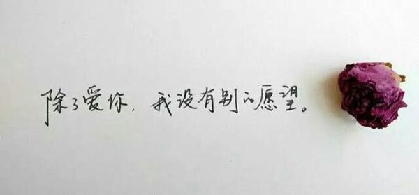 唯美图片，文字图片,情侣图片qqqqp