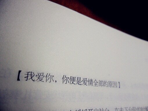 并不是说只要珍惜，就不会失去