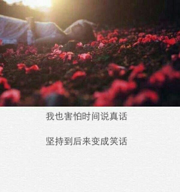 唯美图片，文字图片,情侣图片qqqqp
