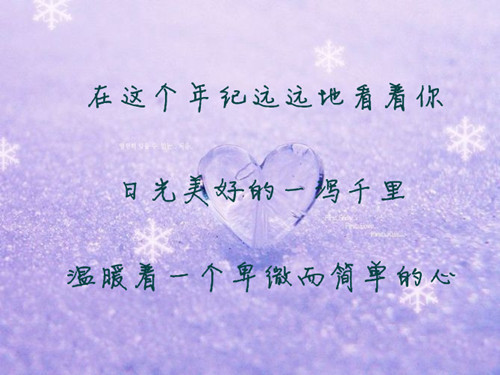 唯美图片，文字图片,情侣图片qqqqp