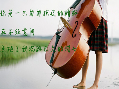 唯美图片，文字图片,情侣图片qqqqp