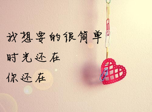 日光美好的一泻千里，温暖着一个卑微而简单的心