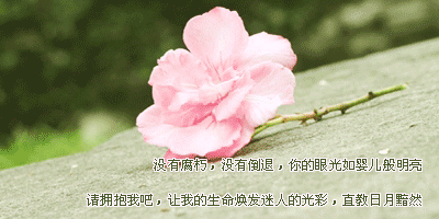 那份恬静和怡然，只有在寂寞的时