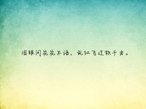 泪眼问花花不语，乱红飞过秋千去