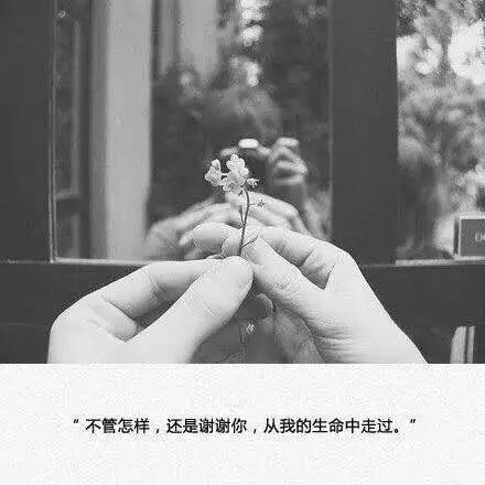 唯美图片，文字图片,情侣图片qqqqp