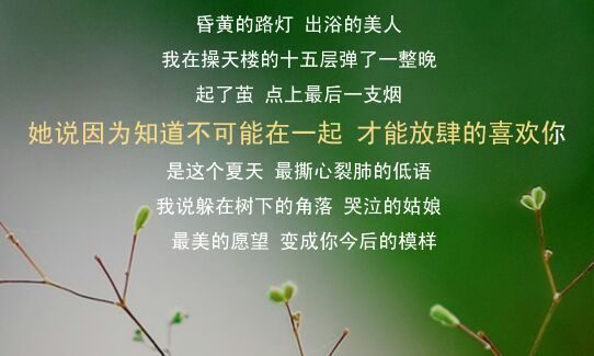 唯美图片，文字图片,情侣图片qqqqp