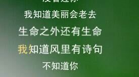 唯美图片，文字图片,情侣图片qqqqp