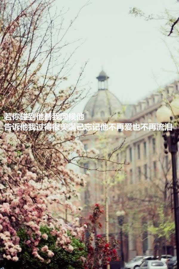 唯美图片，文字图片,情侣图片qqqqp