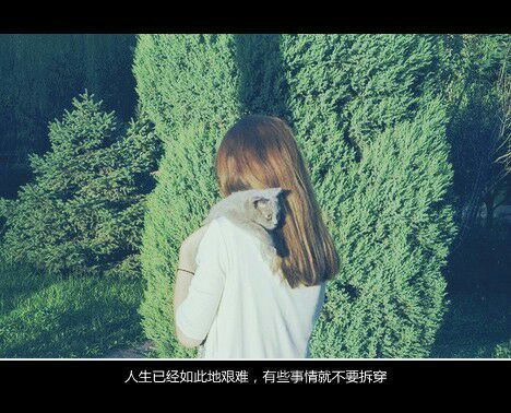 唯美图片，文字图片,情侣图片qqqqp