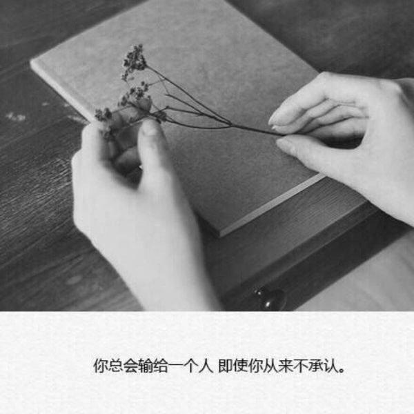 唯美图片，文字图片,情侣图片qqqqp