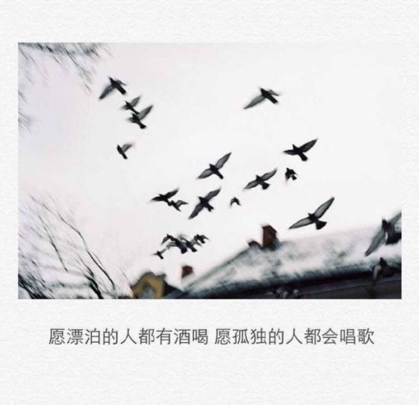 唯美图片，文字图片,情侣图片qqqqp
