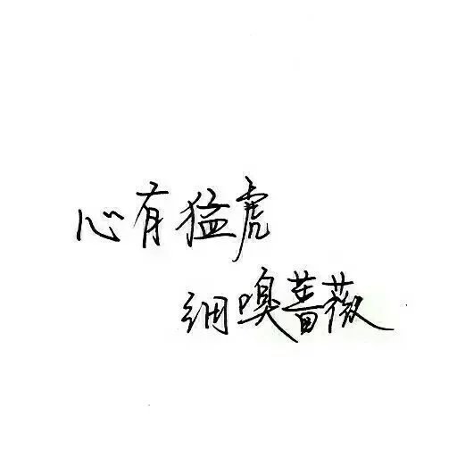 唯美图片，文字图片,情侣图片qqqqp