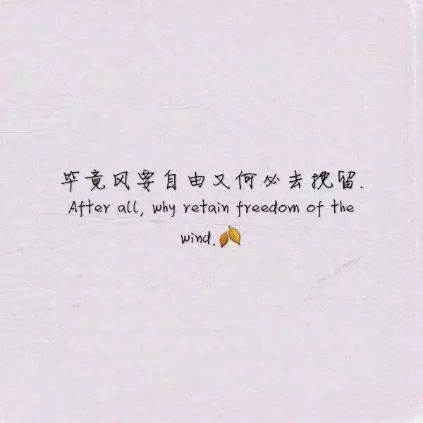 毕竟风要自由又何必去挽留