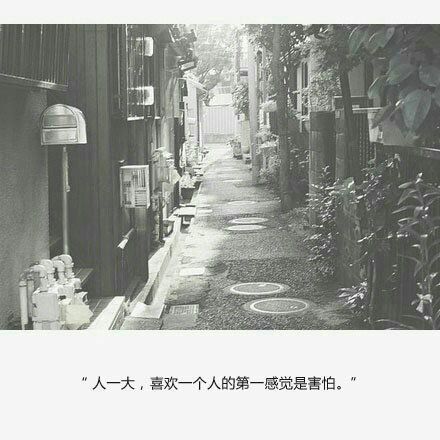 唯美图片，文字图片,情侣图片qqqqp