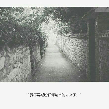 每次决定要放弃了，却还是忍不住的好想你
