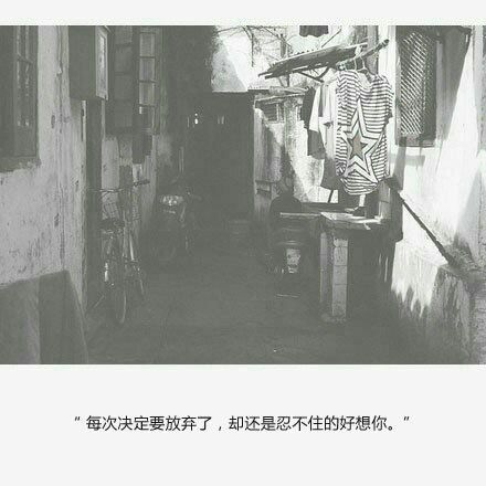 唯美图片，文字图片,情侣图片qqqqp