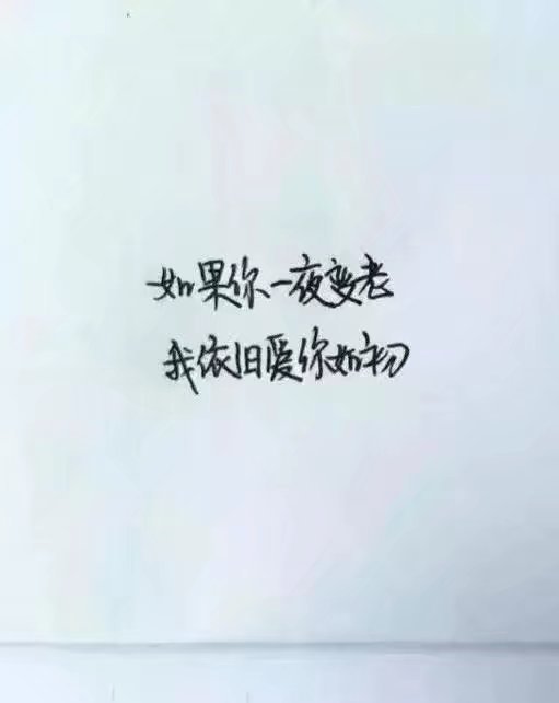 唯美图片，文字图片,情侣图片qqqqp