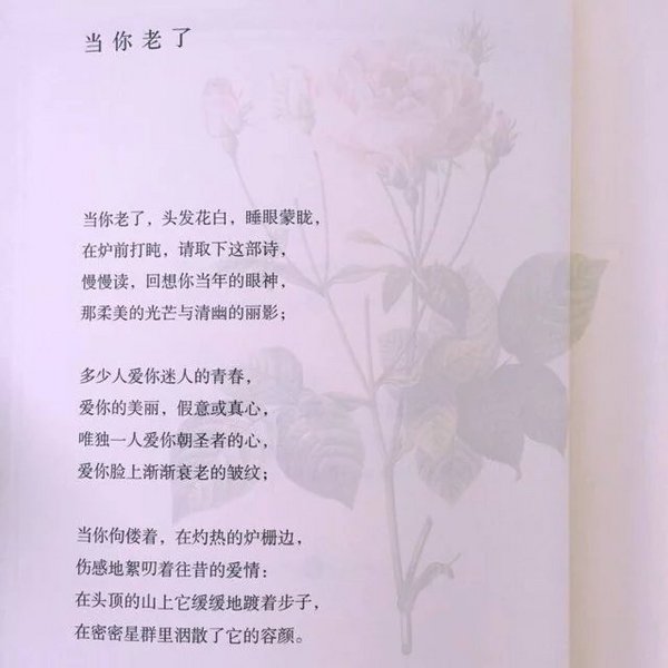让黑夜降临，让钟声吟唱
