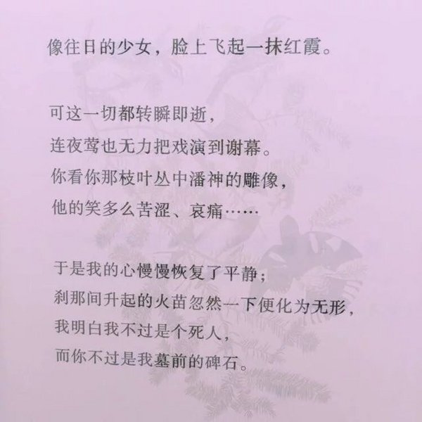 唯美图片，文字图片,情侣图片qqqqp