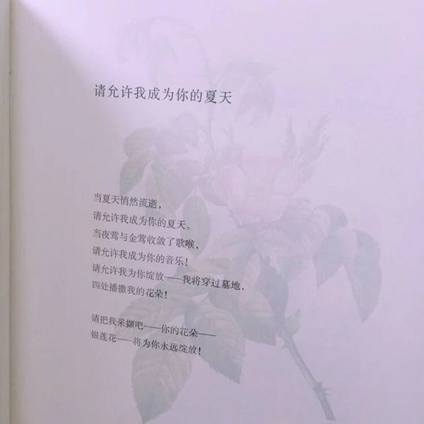 唯美图片，文字图片,情侣图片qqqqp