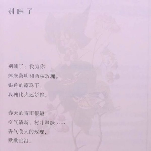 唯美图片，文字图片,情侣图片qqqqp