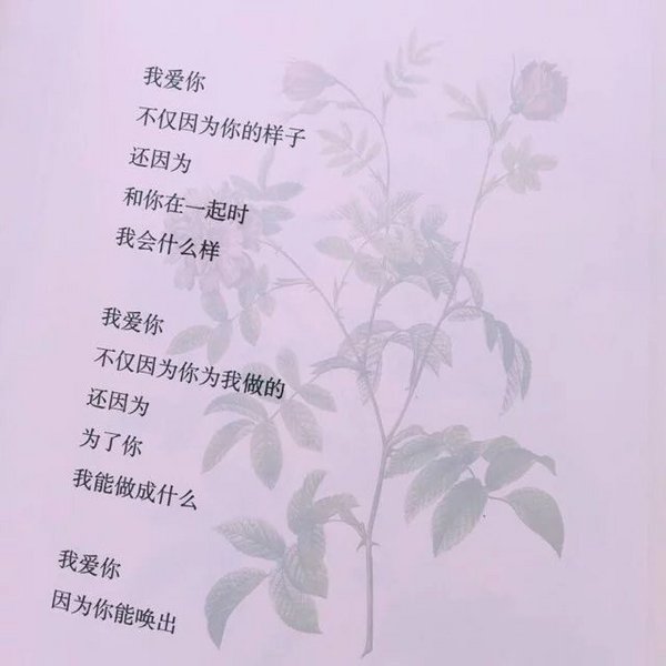 唯美图片，文字图片,情侣图片qqqqp
