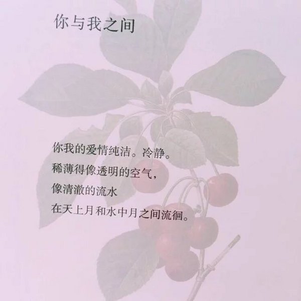 唯美图片，文字图片,情侣图片qqqqp