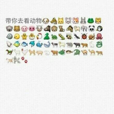 称职男友