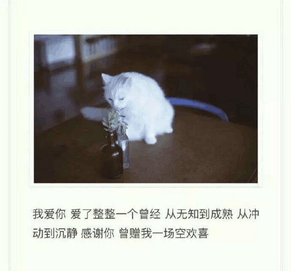 唯美图片，文字图片,情侣图片qqqqp