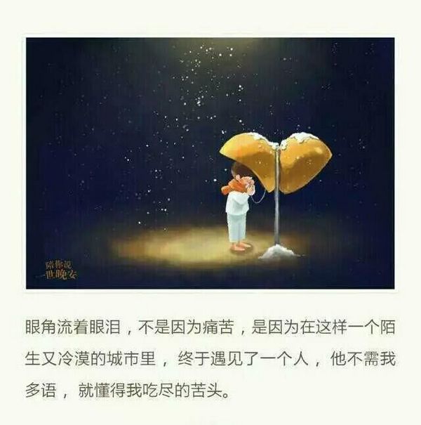 人们都说故事与酒更配，却不知这样更容易让人落泪