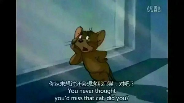 我希望我们会像这只猫和老鼠一样