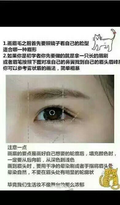 修眉党必看