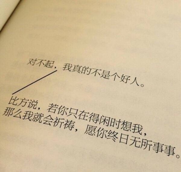 对不起，我真的不是好人